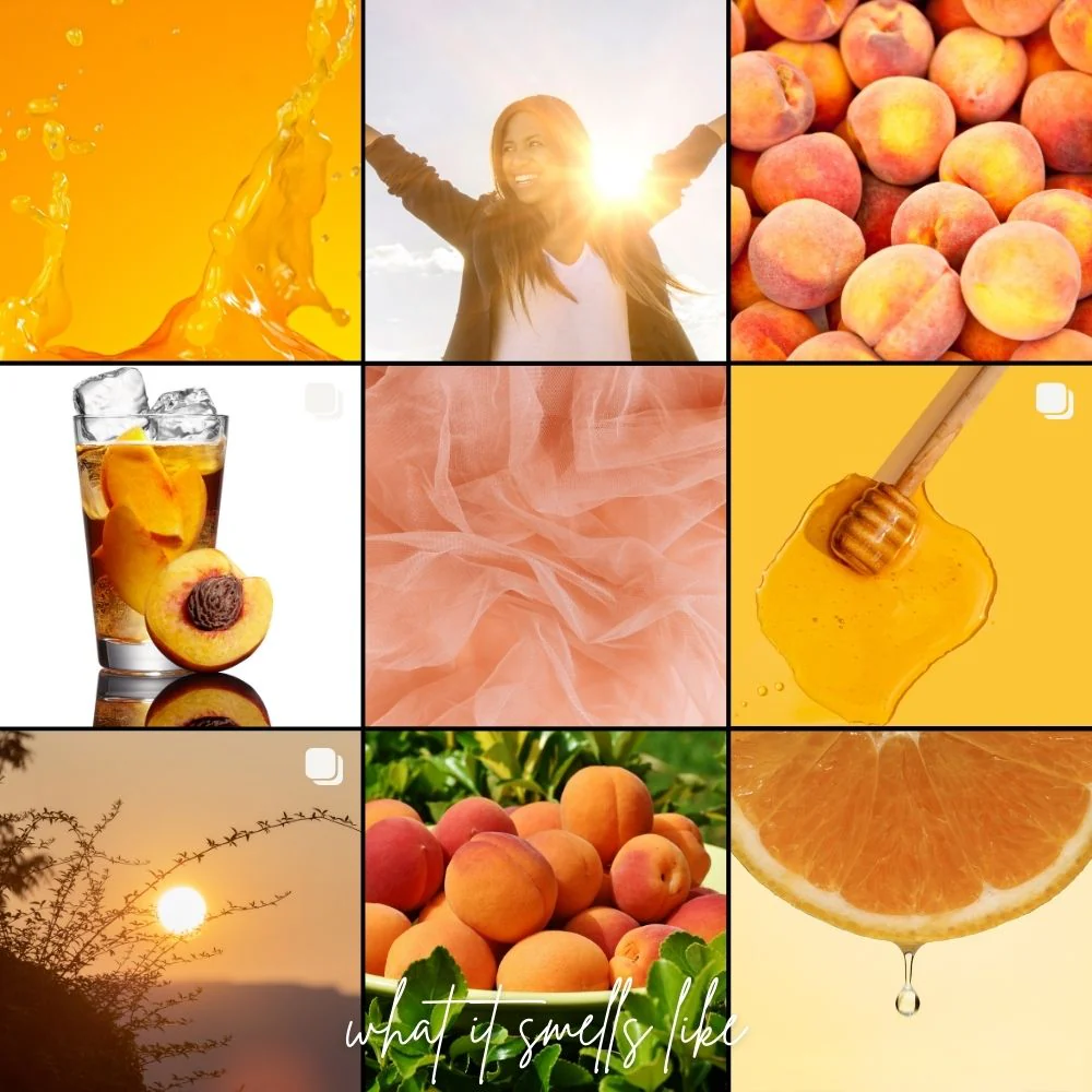 Smells Like Breakfast In Bed | Dreamy Breakfast Inspired Perfumes | EDP 30ml - Image 24