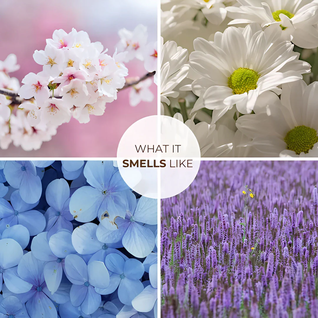 Smells Like... Solid Perfume | Yummy, Nostalgic Fragrances | Alcohol Free - Image 10