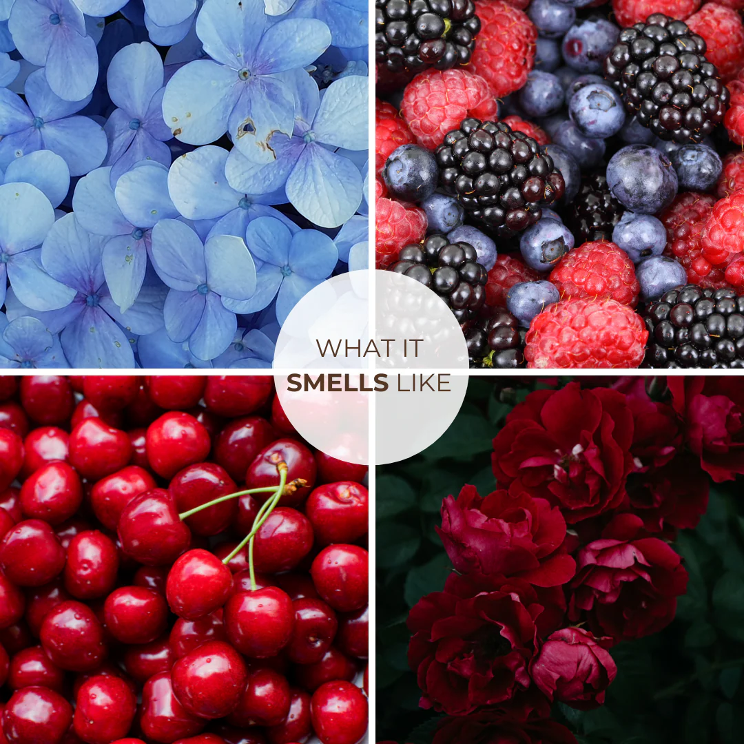 Smells Like... Solid Perfume | Yummy, Nostalgic Fragrances | Alcohol Free - Image 30