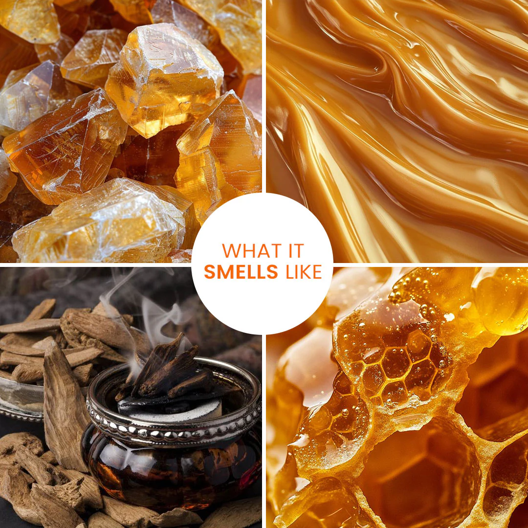 Smells Like... Solid Perfume | Yummy, Nostalgic Fragrances | Alcohol Free - Image 58