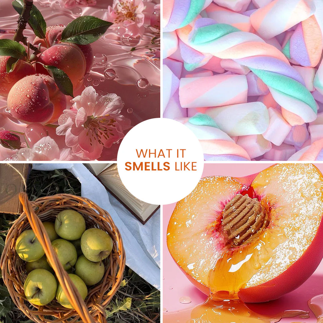 Smells Like... Solid Perfume | Yummy, Nostalgic Fragrances | Alcohol Free - Image 65